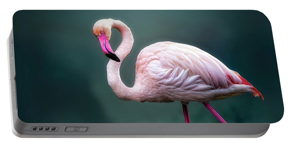 Birds Portable Battery Charger featuring the photograph Flamingo Artistry by DB Hayes