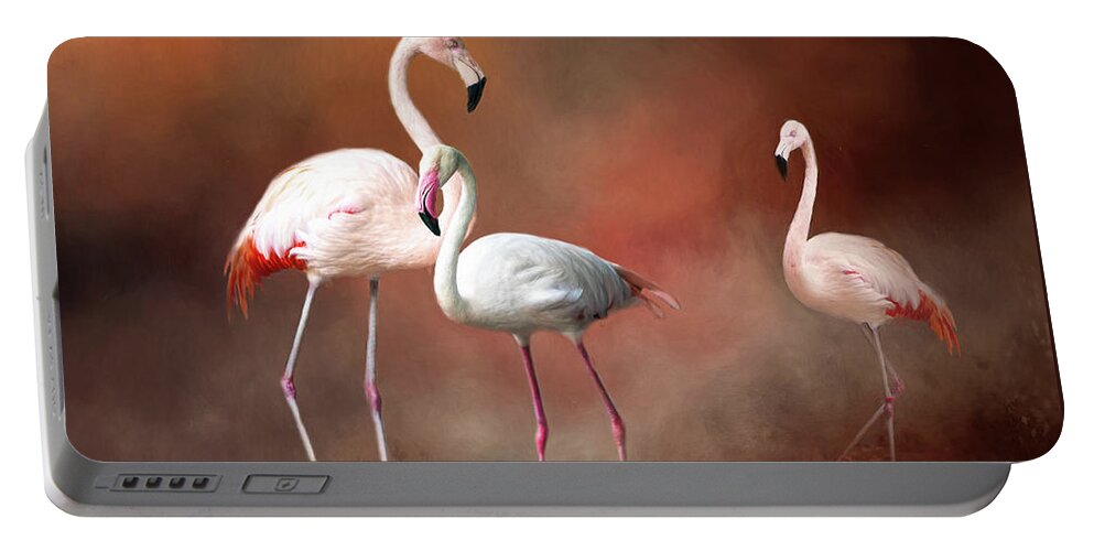 Bird Portable Battery Charger featuring the photograph Flamingos by Ed Taylor