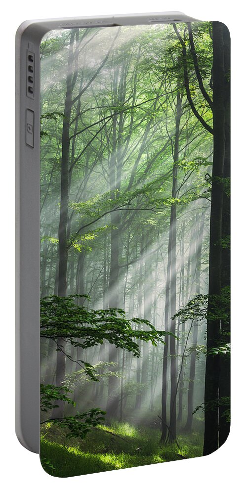 Fog Portable Battery Charger featuring the photograph Fleeting Beams by Evgeni Dinev