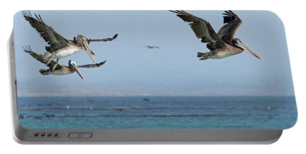 Pelican Portable Battery Charger featuring the photograph Flight of the Pelicans by Sue Cullumber
