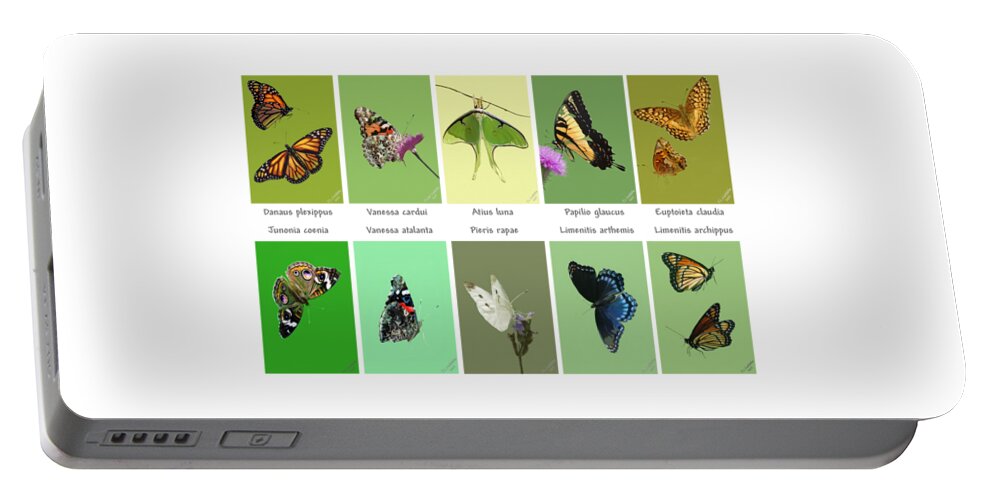 Wildlife Portable Battery Charger featuring the mixed media Flights of Fancy by Judy Cuddehe