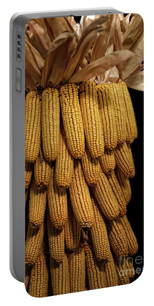 Corn Portable Battery Charger featuring the photograph Flint Corn by Lois Bryan