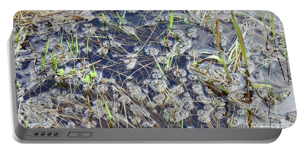 Grasses And Weeds Submerged Portable Battery Charger featuring the photograph Flood puddles by Nicola Finch