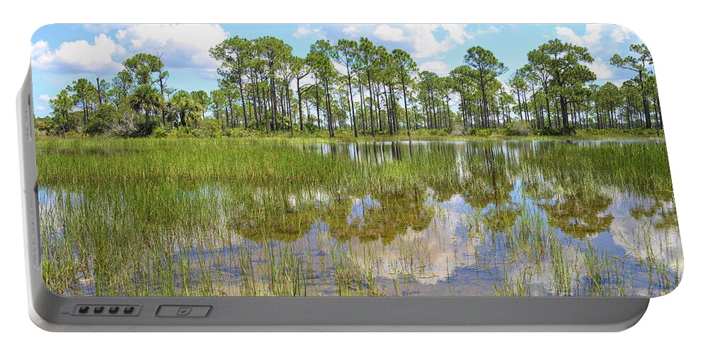 Eco Portable Battery Charger featuring the digital art Florida Pines by Alison Belsan Horton