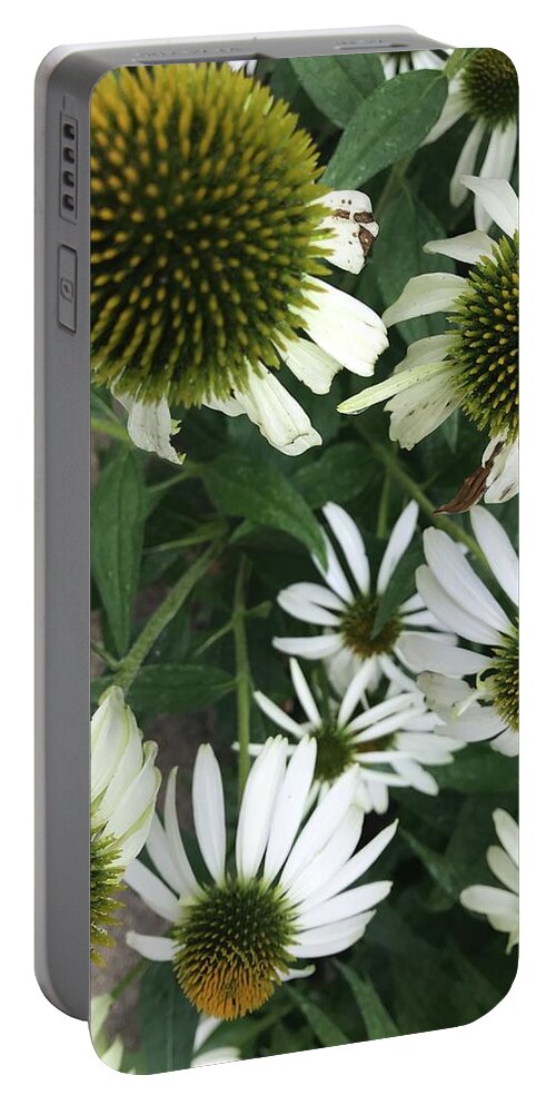 Flowers Portable Battery Charger featuring the photograph Flower balls by Jean Wolfrum