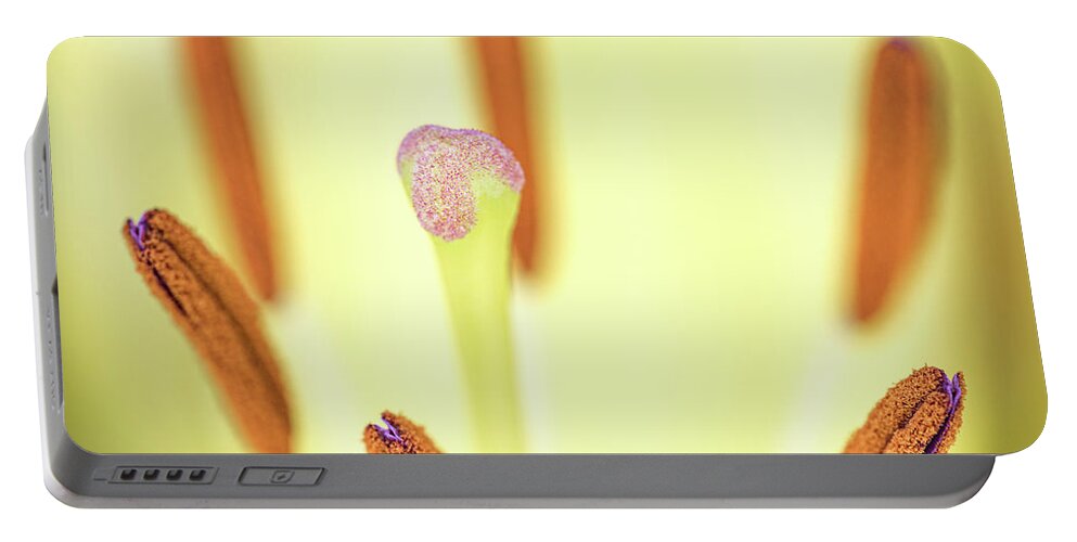 Flower Portable Battery Charger featuring the photograph Flower Close Up by Amelia Pearn