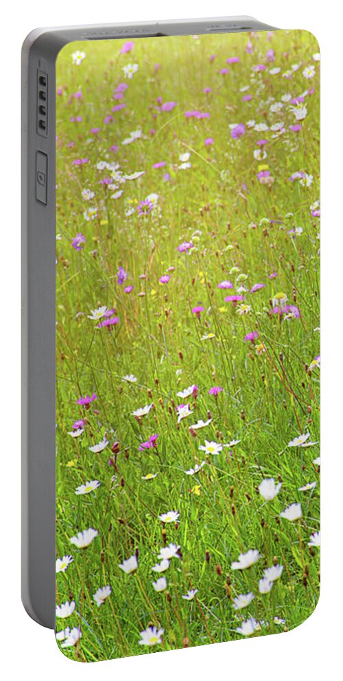 Idyllic Portable Battery Charger featuring the photograph Flower meadow in sunlight by Bernhard Schaffer