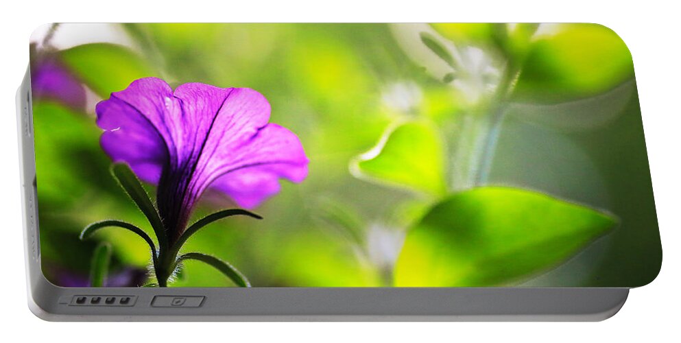 Purple Portable Battery Charger featuring the photograph Flower Through Sunlight by Carol Jorgensen