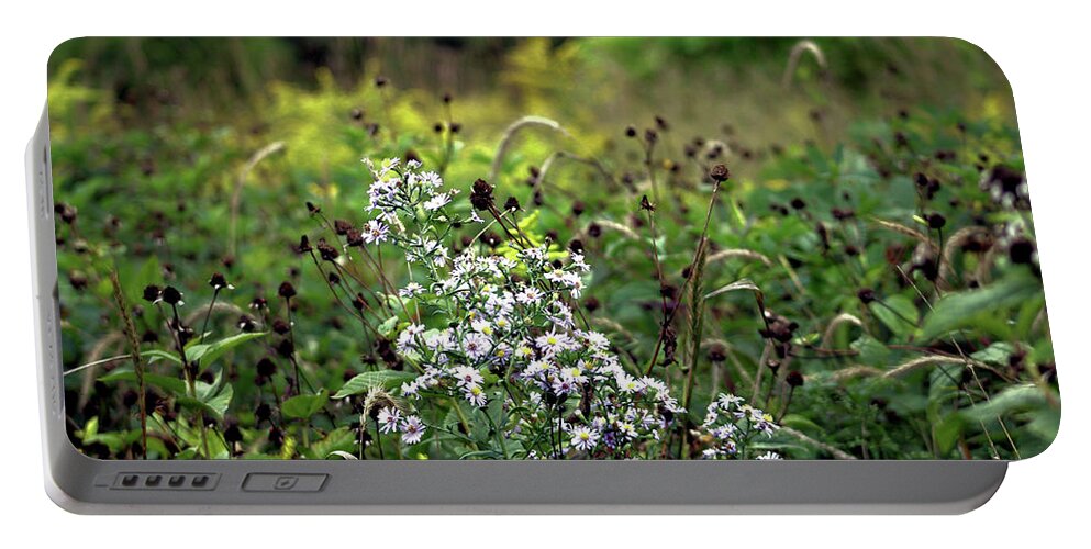 Flowers Portable Battery Charger featuring the photograph Flowers at the End of Summer by Christopher Reed