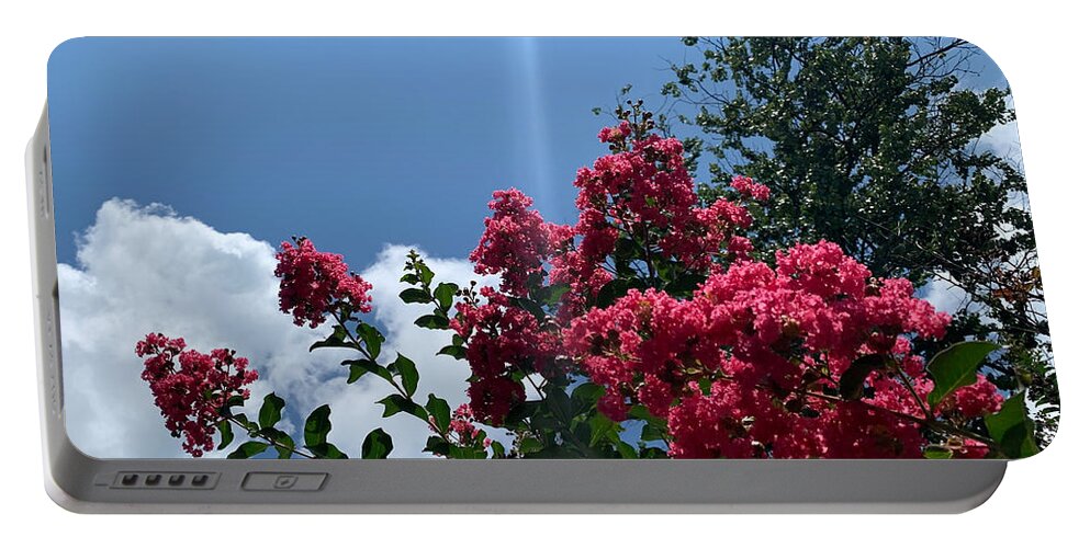 Flower Portable Battery Charger featuring the photograph Flowers Pierced By The Sun by Lee Darnell