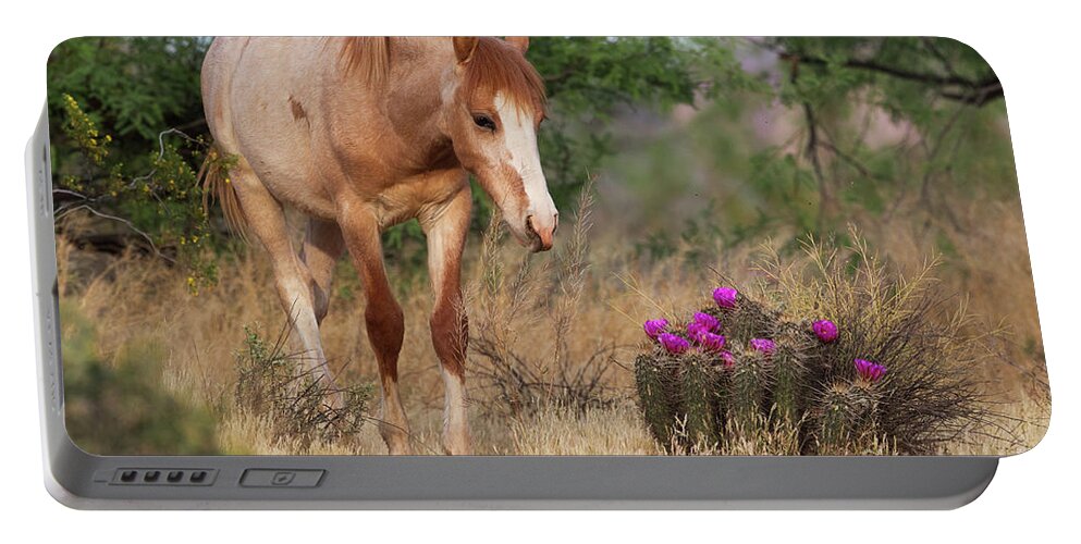 Yearling Portable Battery Charger featuring the photograph Flowers by Shannon Hastings