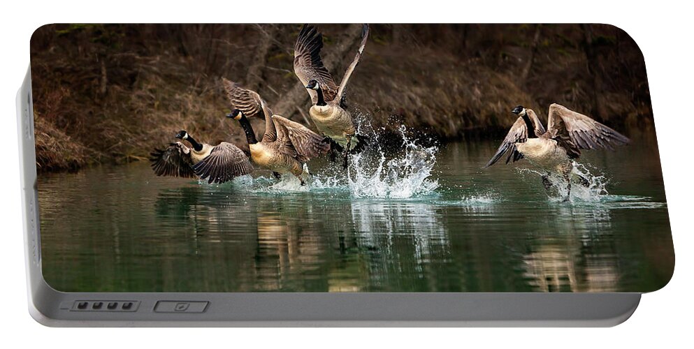 Canada Portable Battery Charger featuring the photograph Fly Away Home by Gary Johnson