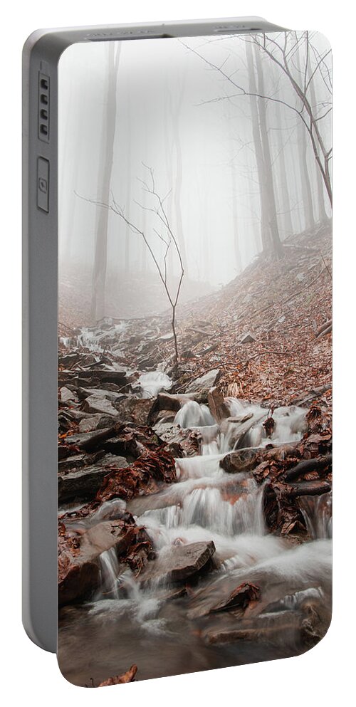 Foggy Portable Battery Charger featuring the photograph Foggy morning in a deciduous forest by Vaclav Sonnek
