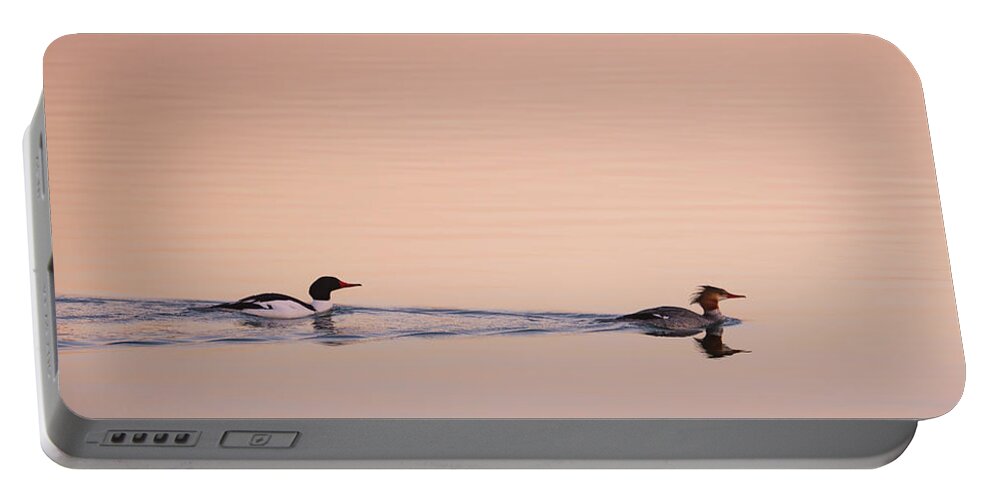 Merganser Portable Battery Charger featuring the photograph Follow Me by Darren White