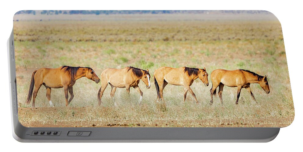 Lassen Portable Battery Charger featuring the photograph Follow the Leader by Mike Lee