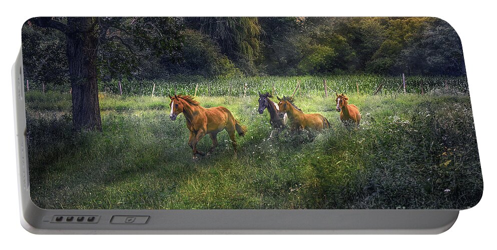 Horse Portable Battery Charger featuring the photograph For Horses by Sandra Rust