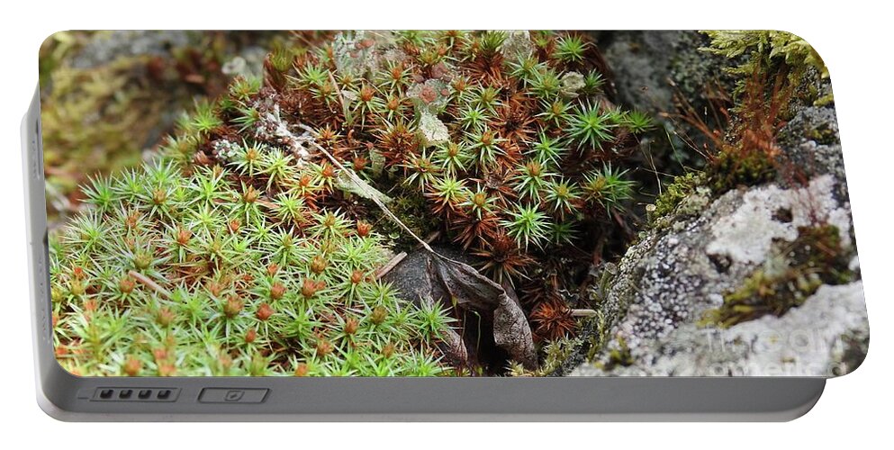 Lichen Portable Battery Charger featuring the photograph Forest beauty by Nicola Finch