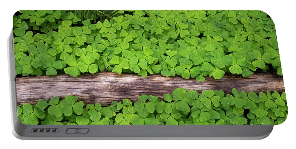 Forest Clover Oregon Spring Groundcover Fern Green Portable Battery Charger featuring the photograph Forest Carpet by Andrew Kumler