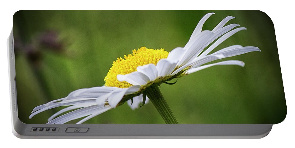 Daisy Portable Battery Charger featuring the photograph Forest Daisy by Bob Decker