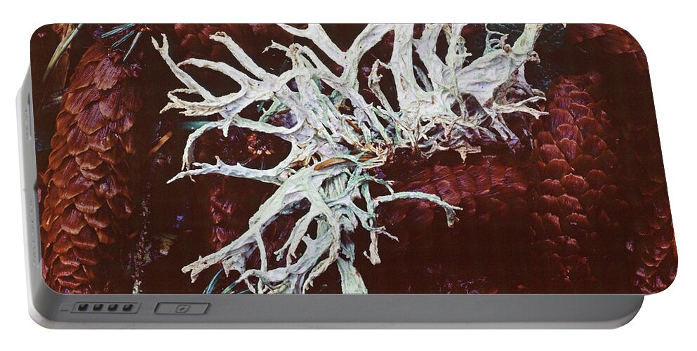Tom Daniel Portable Battery Charger featuring the photograph Forest Floor Fungus by Tom Daniel