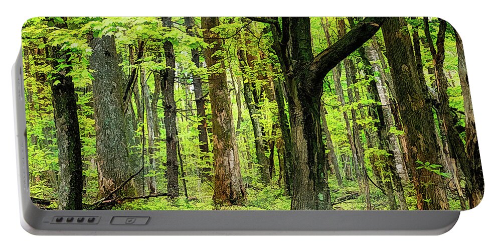 Mountains Portable Battery Charger featuring the photograph Forest Floor Spring Trees fx 503 by Dan Carmichael