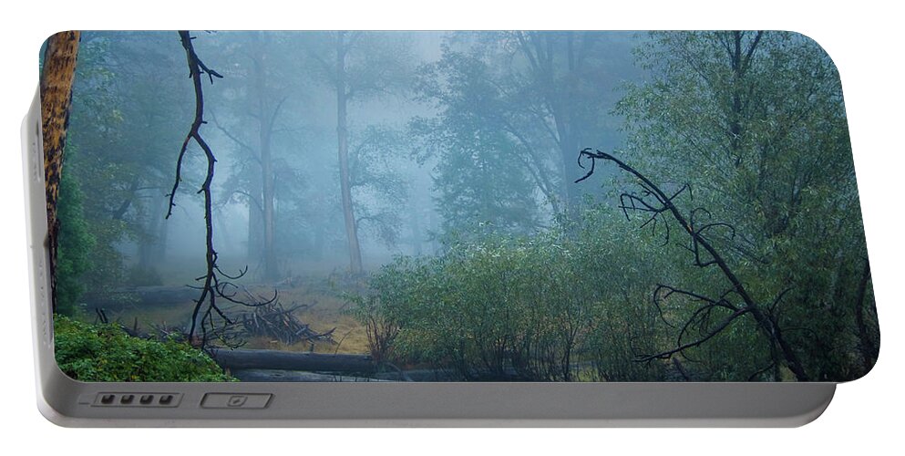 Mist Portable Battery Charger featuring the photograph Forest Mist by Stephen Sloan