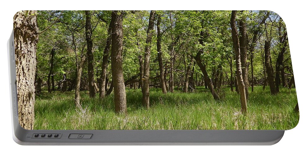 Forest Portable Battery Charger featuring the photograph Forest On The River Bottom by Amanda R Wright