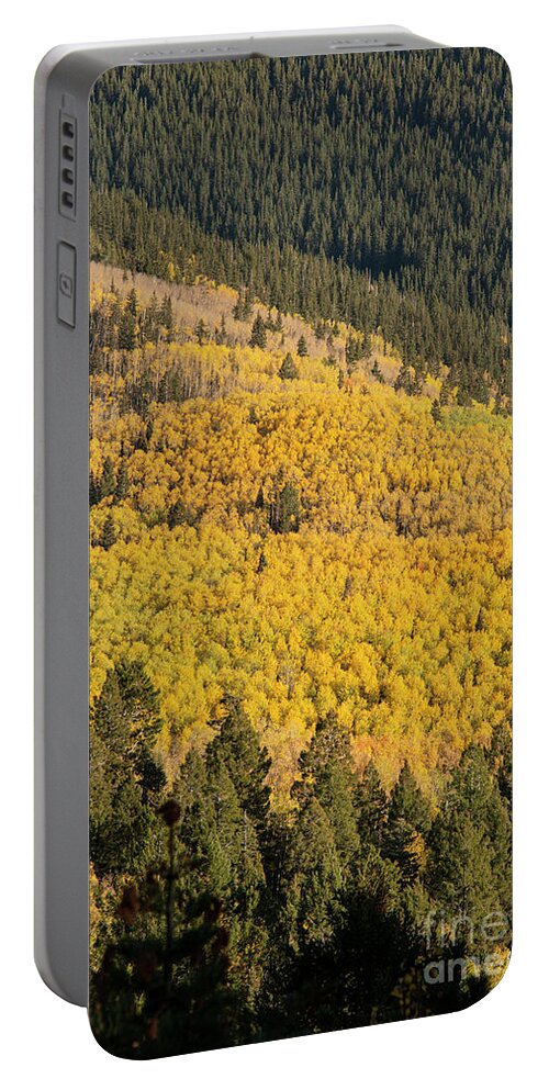Aspen Vista Trail Portable Battery Charger featuring the photograph Forests on Aspen Vista Trail by Bob Phillips
