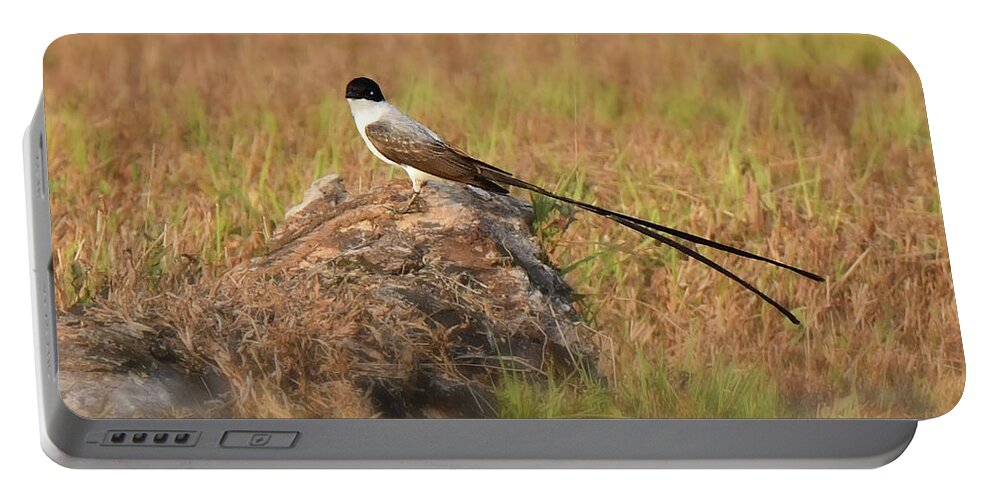 Neo-tropical Birds Portable Battery Charger featuring the photograph Fork-tailed Flycatcher by Alan Lenk