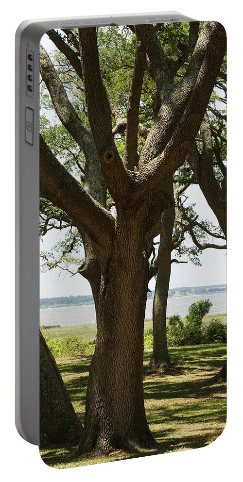  Portable Battery Charger featuring the photograph Fort Fisher Oak by Heather E Harman