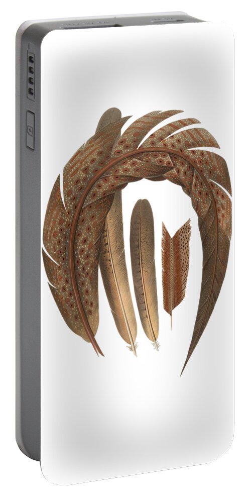 Pheasant Portable Battery Charger featuring the digital art Four Feathers by Madame Memento