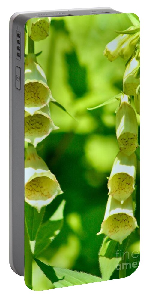 #flower Portable Battery Charger featuring the photograph Foxglove by Cornelia DeDona