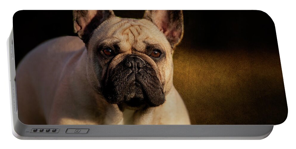 French Bulldog Portable Battery Charger featuring the photograph French Bulldog by Diana Andersen