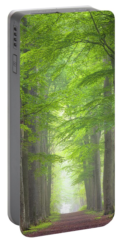 Forest Portable Battery Charger featuring the photograph Fresh green leaves by Patrick Van Os