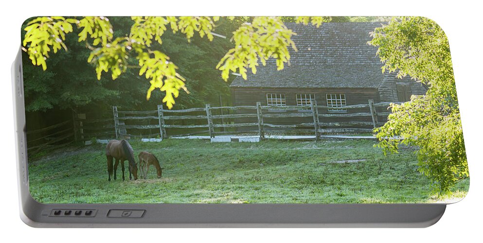 Horse Portable Battery Charger featuring the photograph Fresh June Morning by Rachel Morrison