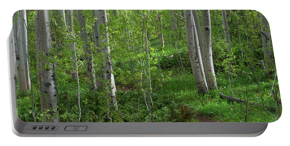 Forest Portable Battery Charger featuring the photograph Fresh Spring Aspen Forest by Cascade Colors