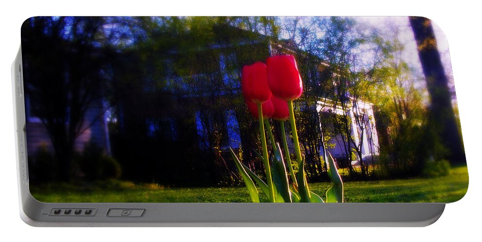 Weather Portable Battery Charger featuring the photograph Fresh Spring Tulips - Square by Frank J Casella