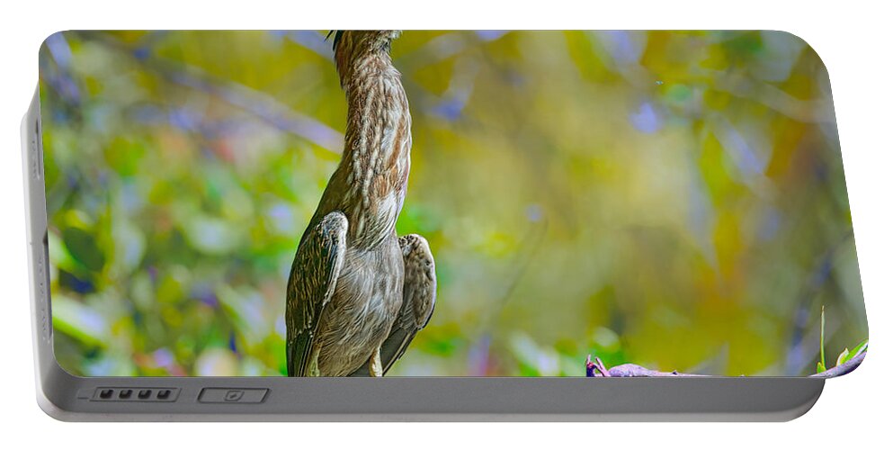 Birds Portable Battery Charger featuring the photograph Frisky Fledgling by Judy Kay