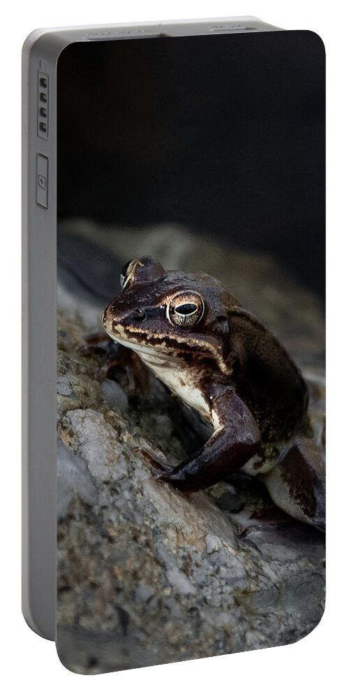 Spring Portable Battery Charger featuring the photograph Frog Legs by Linda Bonaccorsi