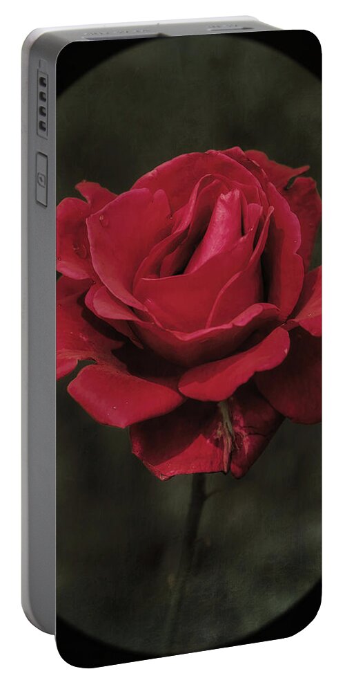 Flower Portable Battery Charger featuring the photograph Front Yard Beauty by Elaine Malott