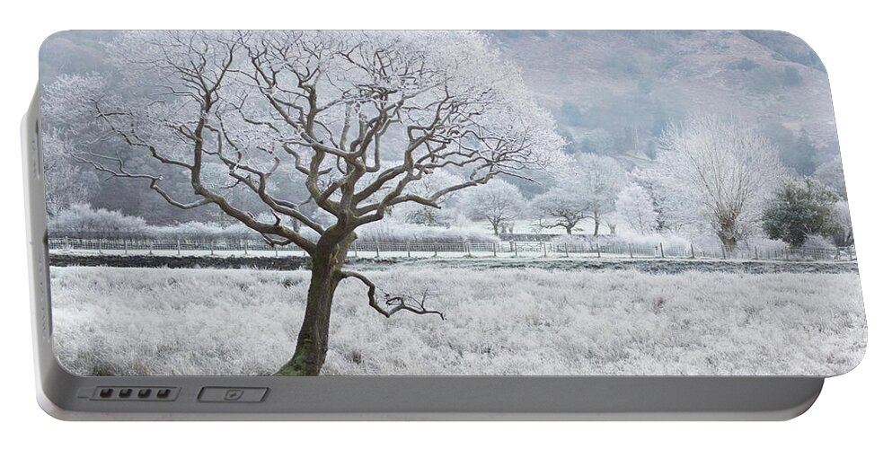 Frost Laced Tree Portable Battery Charger featuring the photograph Frost laced tree, winter's morning, Borrowdale, Lake District by Anita Nicholson