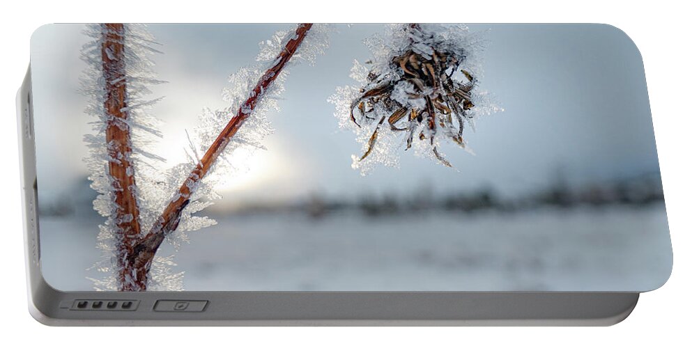 Frost Portable Battery Charger featuring the photograph Frost On A Winter Annual by Karen Rispin