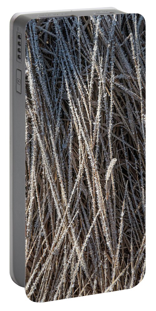 Frost Portable Battery Charger featuring the photograph Frost On Grass by Karen Rispin