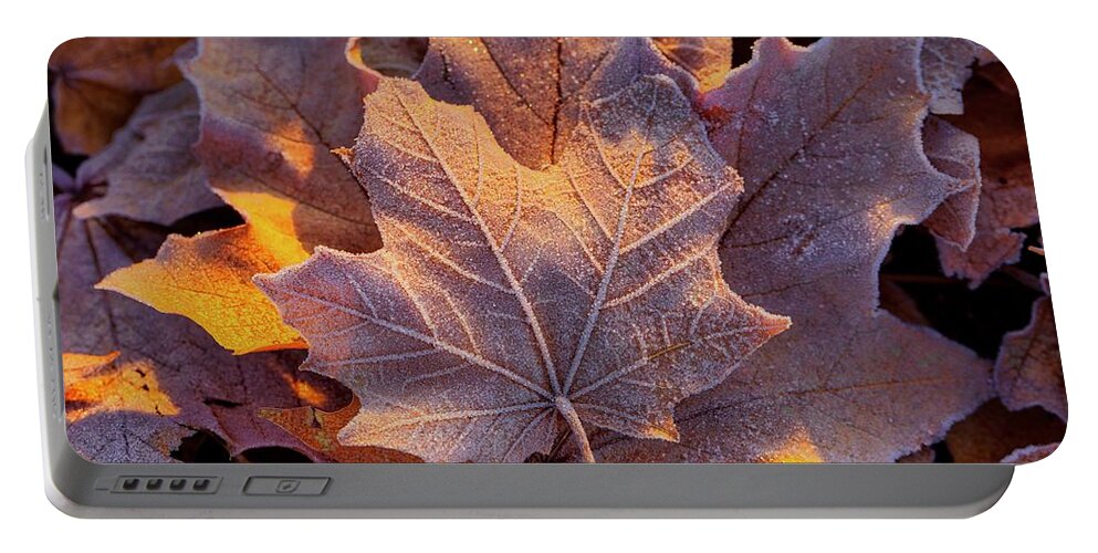 Frosted Leaves Portable Battery Charger featuring the photograph Frosted Leaves by Lynn Hopwood