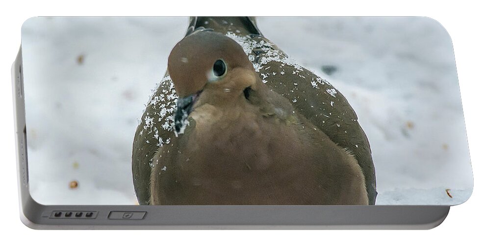 Dove Portable Battery Charger featuring the photograph Frosty Dove by Cathy Kovarik
