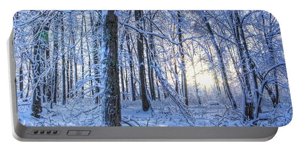 Winter Portable Battery Charger featuring the photograph Frozen Blazing Sun by Dale Kauzlaric
