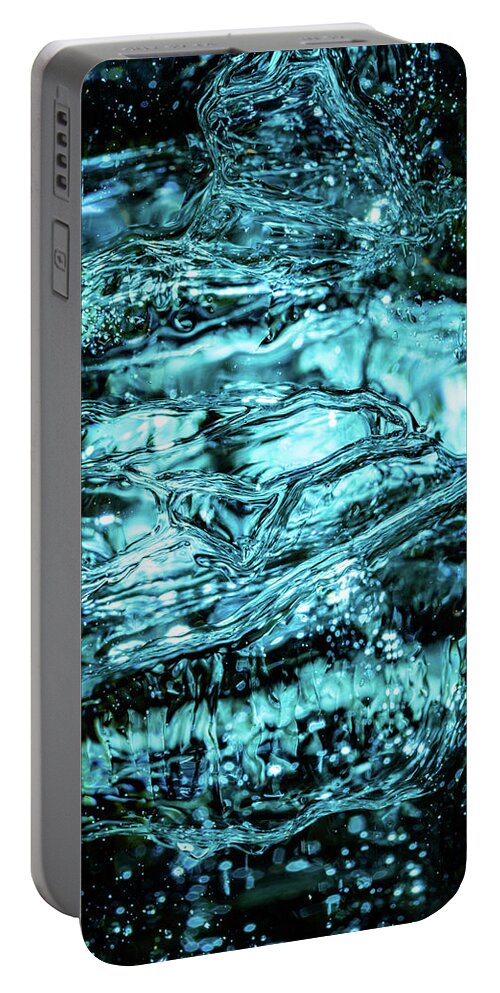 Cool Portable Battery Charger featuring the photograph Frozen Face by Stan Weyler