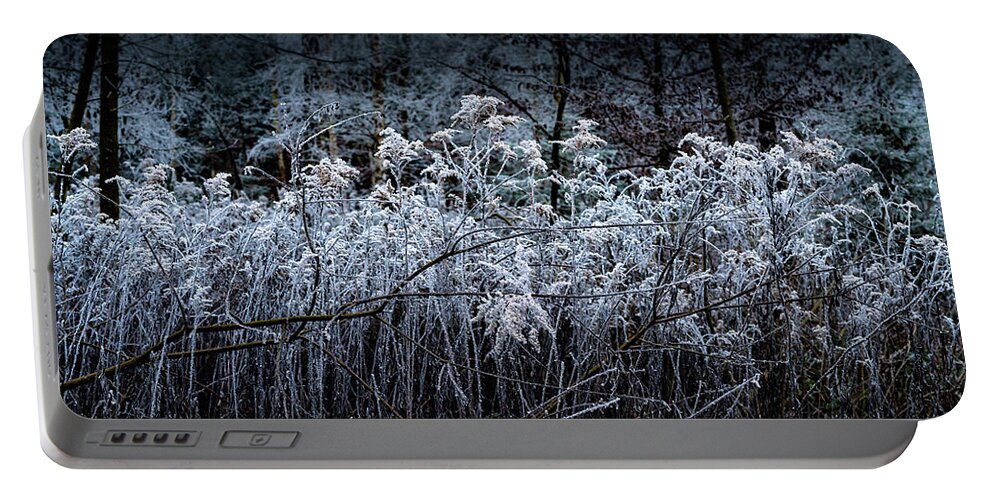 Cool Portable Battery Charger featuring the photograph Frozen Forest by Stan Weyler