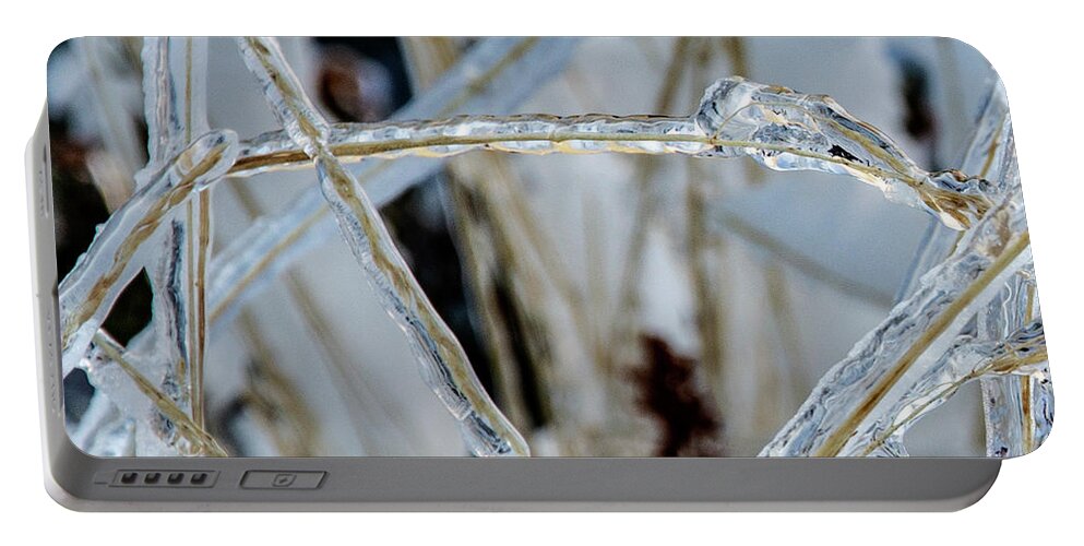 Textured Portable Battery Charger featuring the photograph Frozen Grass by Pelo Blanco Photo
