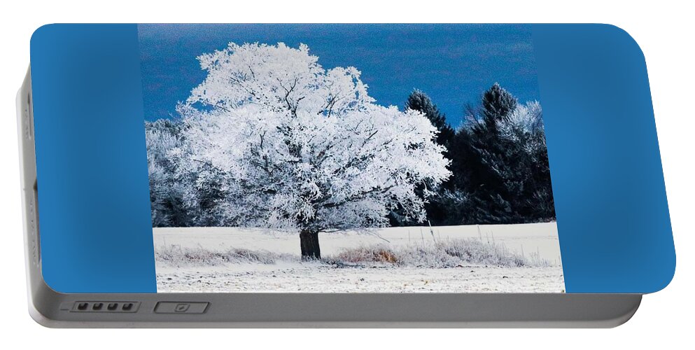  Portable Battery Charger featuring the photograph Frozen Tree by Windshield Photography